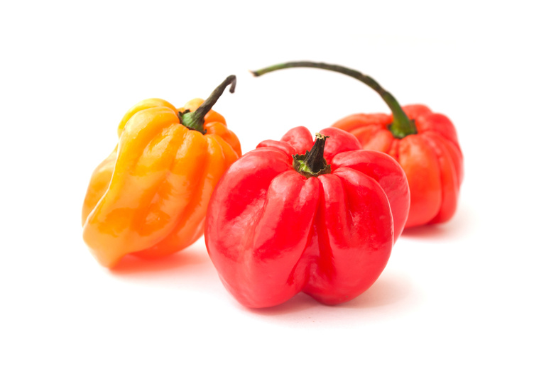 Jamaican peppers in white background